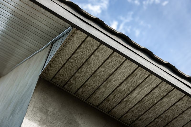 Garage Fascia Repair in Overland Park, KS