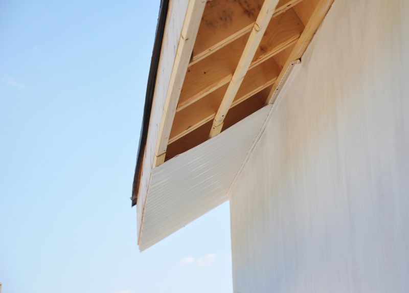 Rotted Fascia Repair in Conroe, TX
